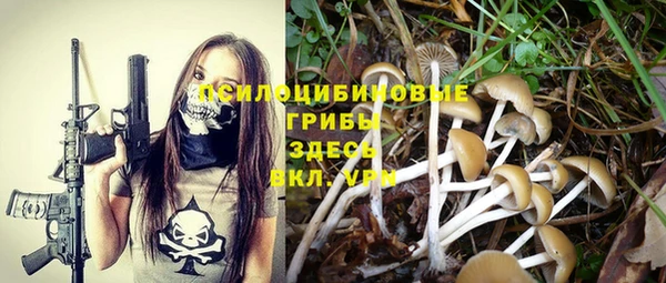 каннабис Барнаул