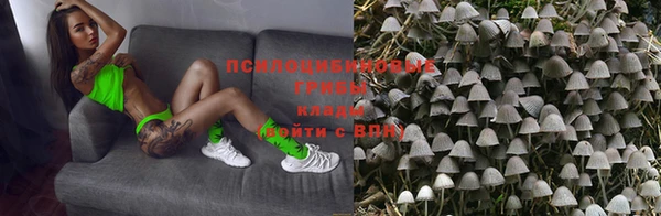 a pvp Чита