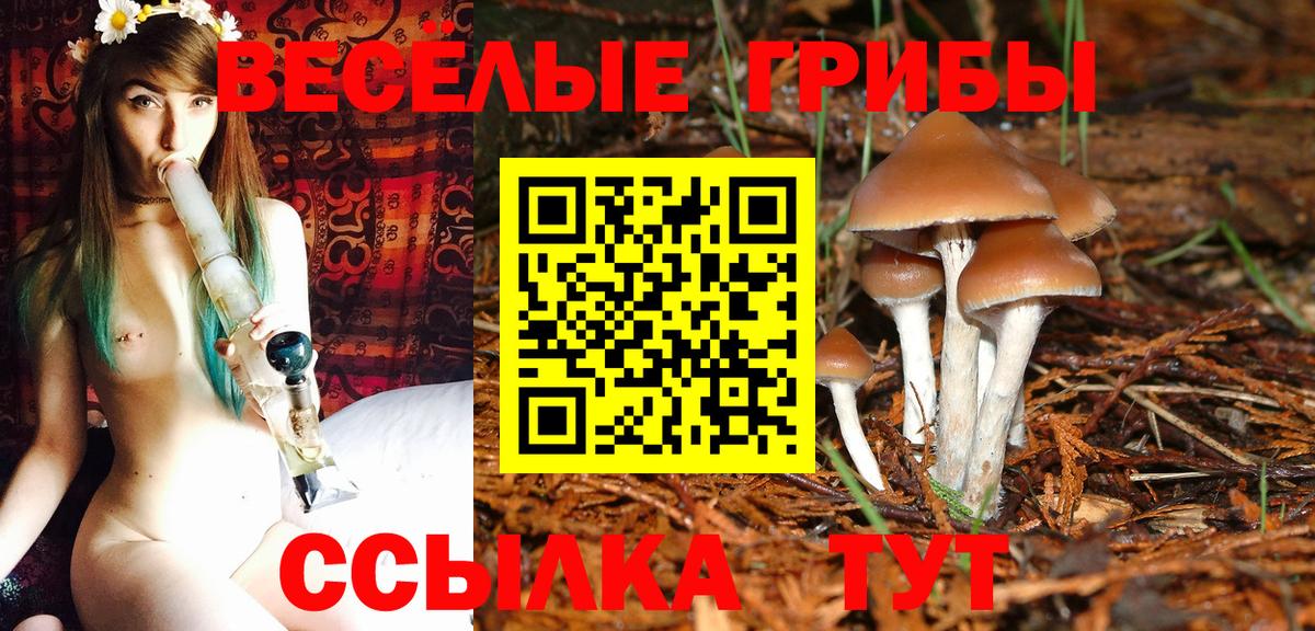 Псилоцибиновые грибы MAGIC MUSHROOMS  Вход с VPN  Кызыл 