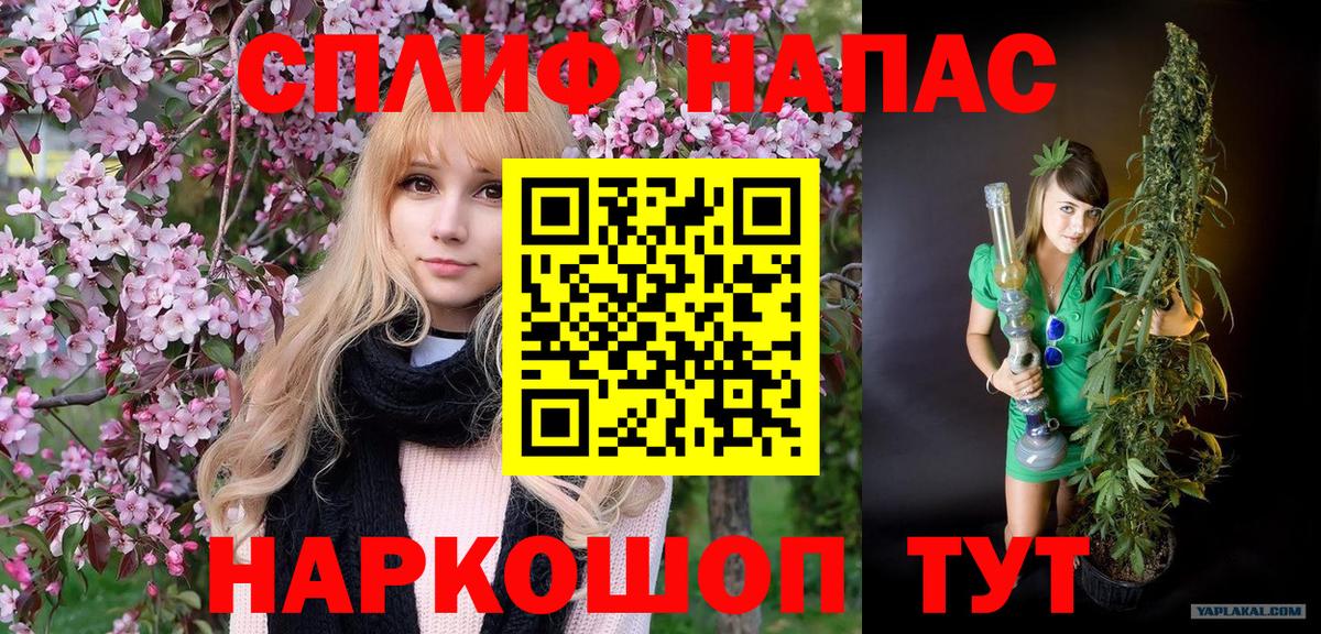 Шишки марихуана гибрид  Бошки Шишки тримм  Вход с VPN  Кызыл  Бошки марихуана AK-47  Канабис сатива 